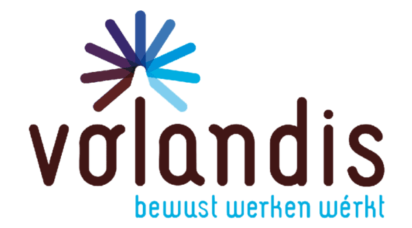 Volandis logo